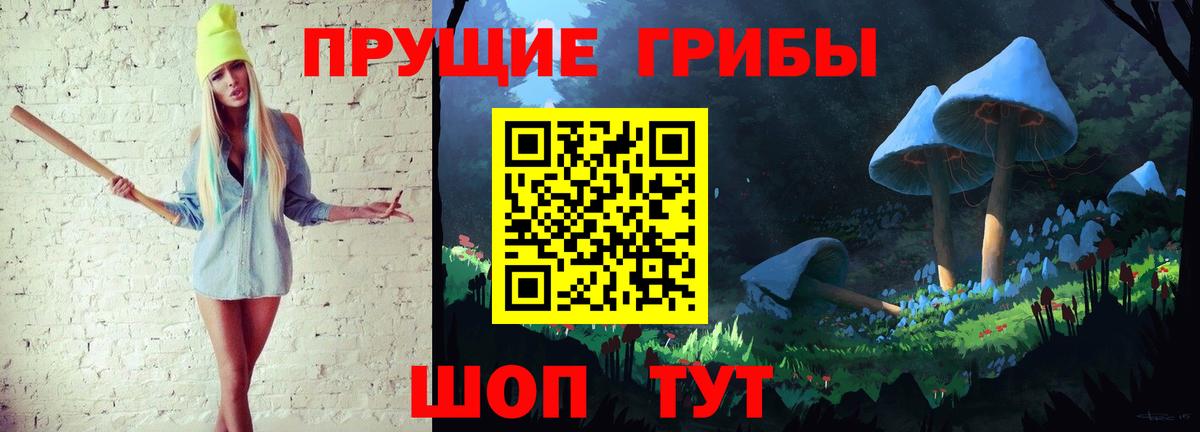 хочу   Псилоцибиновые грибы Psilocybe  Гудермес  Вход с VPN  Псилоцибиновые грибы прущие грибы 